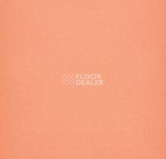 Линолеум Forbo Eternal Colour 40242 pink coral фото 1 | FLOORDEALER